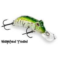 WARTED TOAD 55